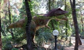 Dinopark Antalya Tour