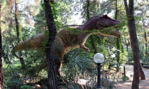 Dinopark Antalya Tour