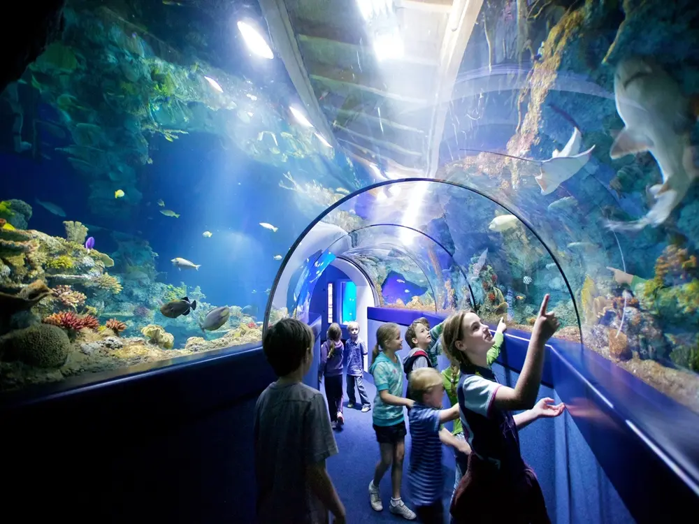 Kids Activities in Antalya for Families 3 Antalya Aquarium Kids Activities in Antalya for Familys