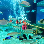 Top Sports in Antalya: A Complete Guide to Thrills and Nature 4 Top Sports in Antalya