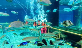 Top Sports in Antalya